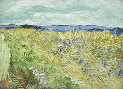 Gogh_van_Vincent_Champ-de-ble